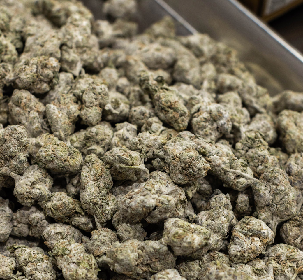 img-of-Bulk Flower