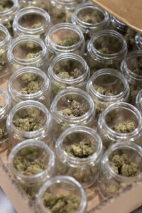 cannabis co-packing services California