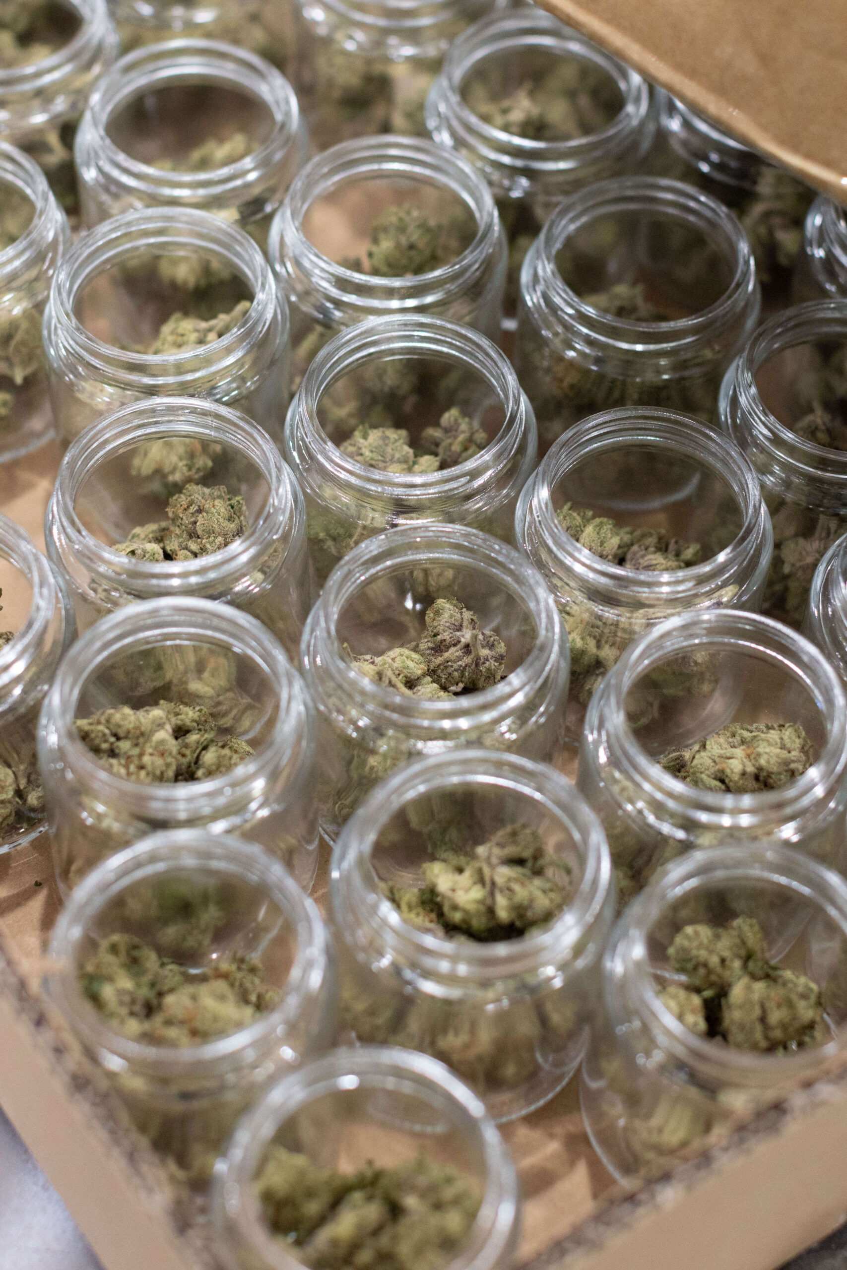 cannabis co-packing services California