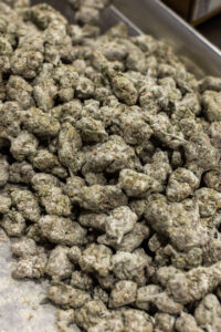 cost to launch cannabis brand california