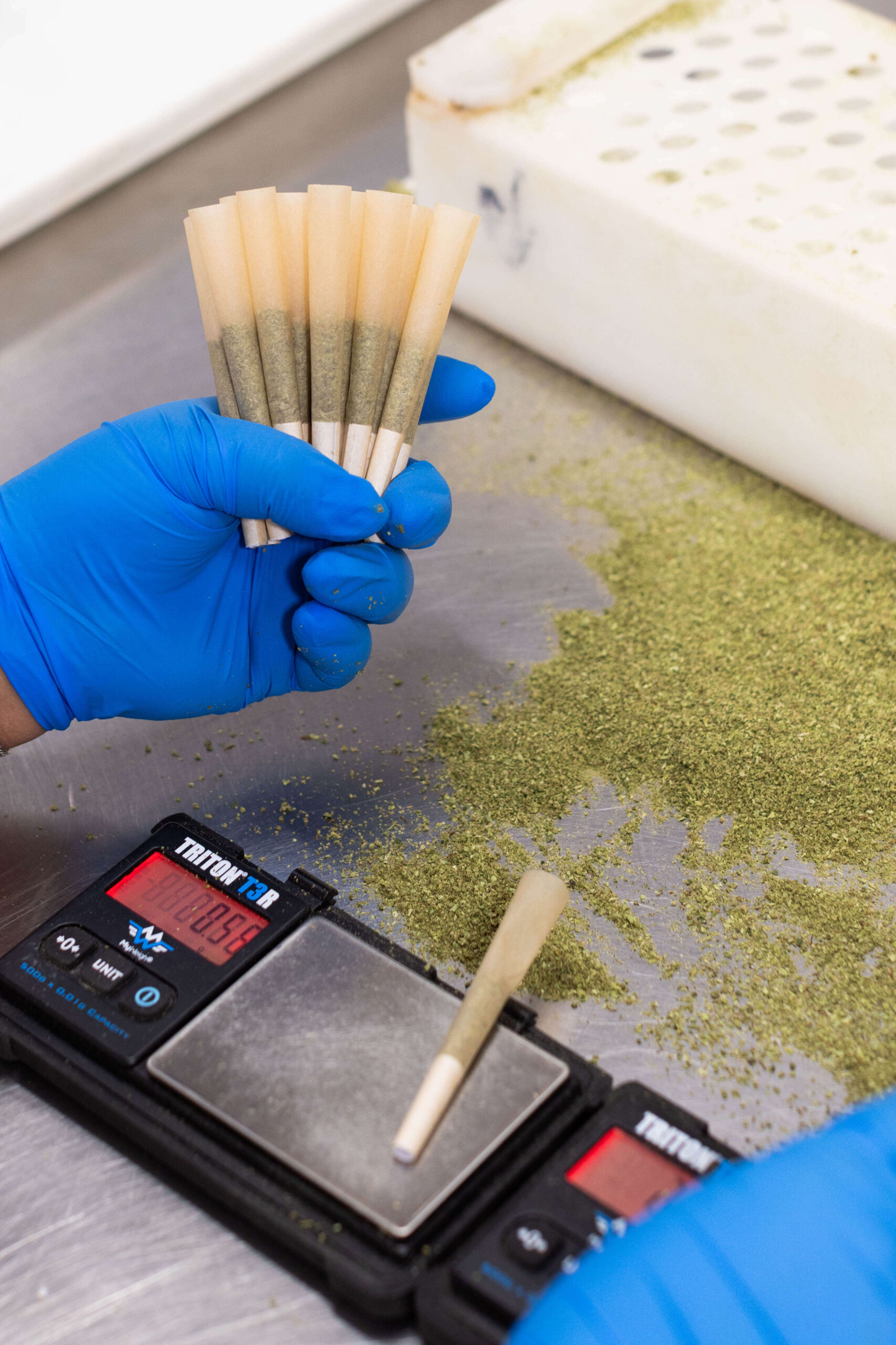 pre roll manufacturing process California